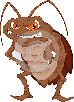 Angry cockroach cartoon