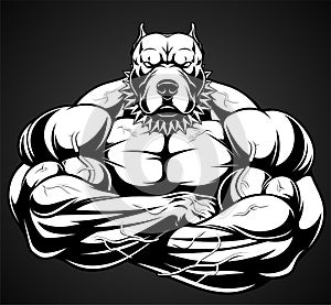 Angry dog bodybuilder