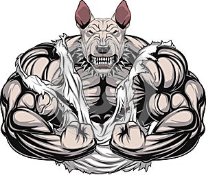 Angry dog bodybuilder
