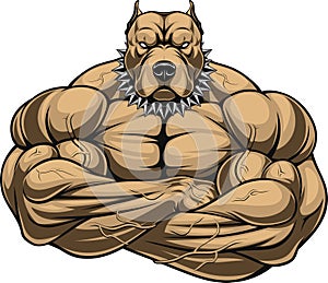 Angry dog bodybuilder