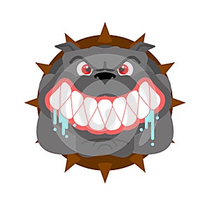 Angry dog face isolated. Evil Bulldog Head. vector illustration