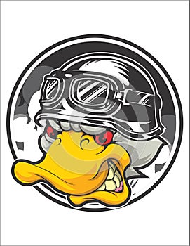 Angry duck. Duck and black helmet