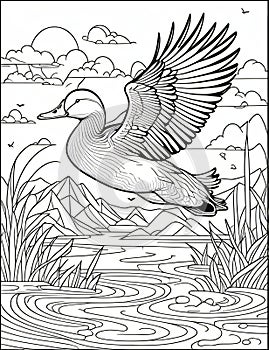 angry duck flying coloring pages for kids relaxation