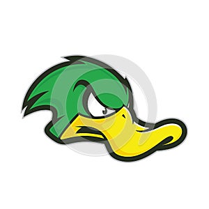 Angry duck mascot