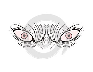 Angry eyes looking draw