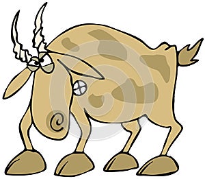 Angry Goat