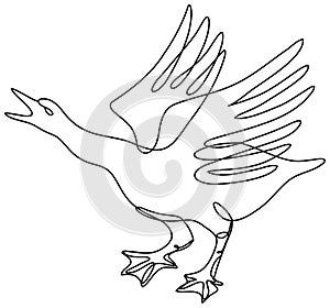 Angry Goose About to Attack Side View Continuous Line Drawing