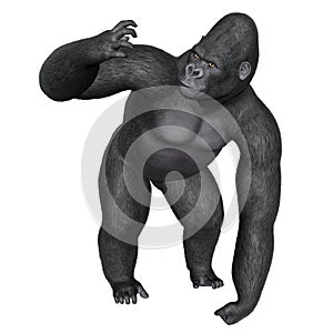 Angry gorilla - 3D render