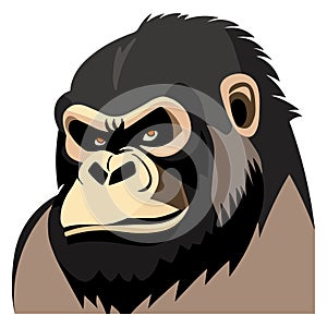 Angry gorilla, Vector illustration on a white background