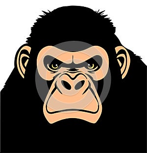 Angry gorilla, Vector illustration on a white background