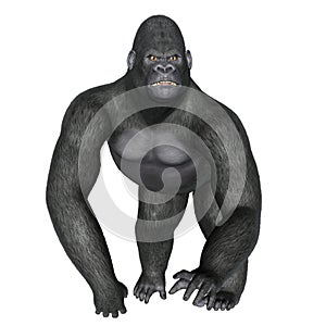 Angry gorilla walking - 3D render