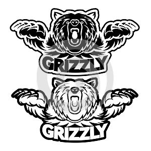 Angry grizzly bear badge vector illustration