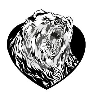 Angry Bear Vector Drawing