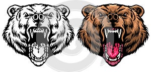 Angry grizzly head roaring