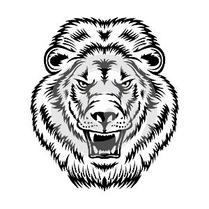 Angry lion face vector illustration in decorative style design