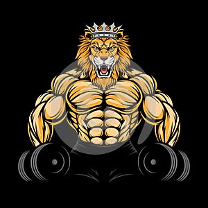 ANGRY LION GYM 1