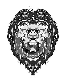 angry lion head in monochrome style isolated vector