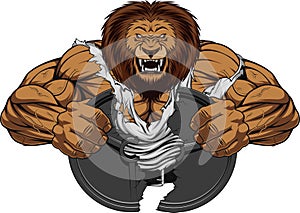 Angry lion strong