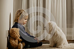 Angry little toddler child, blond boy, sitting in corner with teddy punished for mischief