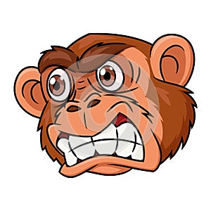 Angry monkey head