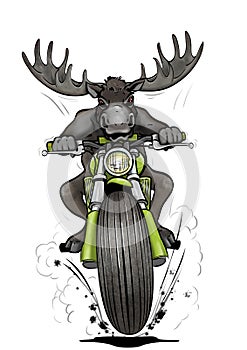 Moose-biker photo