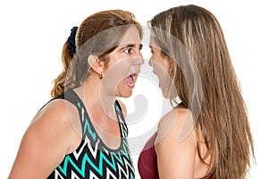 Angry mother and her teenage daughter yelling at each other photo