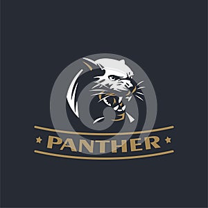 The angry panther