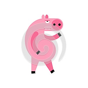 Angry pig. Disgruntled piggy. wicked swine vector illustration