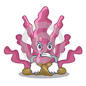 Angry pink seaweed isolated in the cartoon