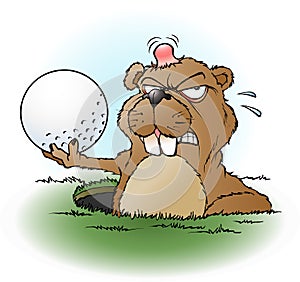 Angry prairie dog with a golf ball