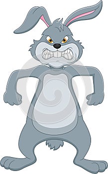 Angry rabbit cartoon on white background