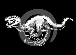 Angry Raptor Illustration in Black Background Vintage Style