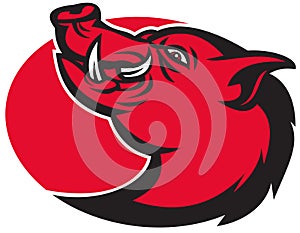 Angry razorback wild pig hog boar head