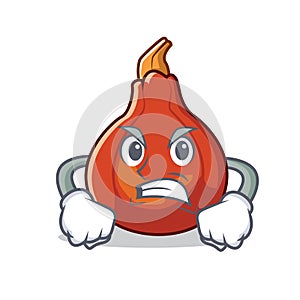 Angry red kuri squash mascot cartoon