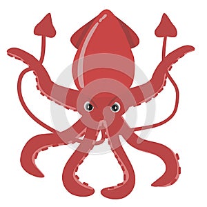 An angry red squid cartoon  illustration. Isolated. Cute drawing. Sea creature.