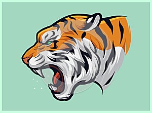 Angry Roaring Tiger, Panthera Tigris