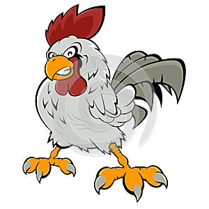 Angry rooster