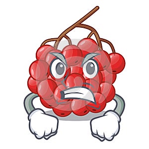 Angry rowan slices fruit cartoon berries shape photo