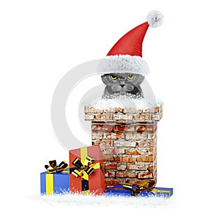 Angry santa cat climbs out of chimney. Isolated on white