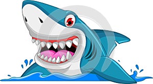 Angry shark cartoon