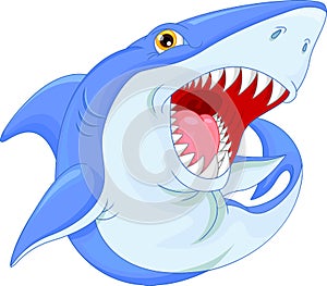 Angry shark cartoon