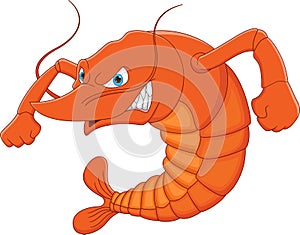 Angry shrimp cartoon on white background