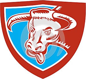 Angry Texas Longhorn Bull Head Shield Woodcut