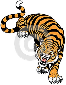 Angry tiger