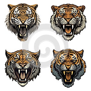 Angry Tiger Head set, vector illustration