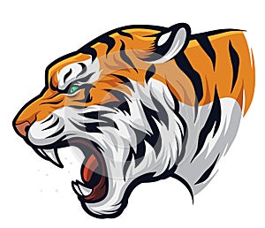 Angry Tiger head. Vector illustration of a tiger head. Tiger head illustration for T-shirt.