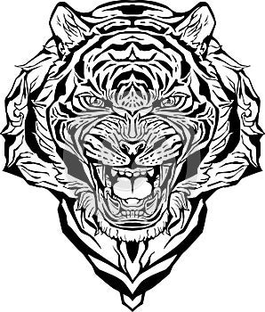 Angry tiger. Isolated. Coloring page.