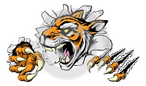 Angry Tiger sports mascot