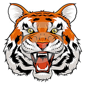 Angry tiger