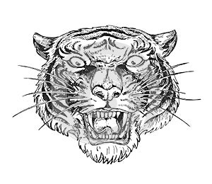 Angry wild growling tiger face